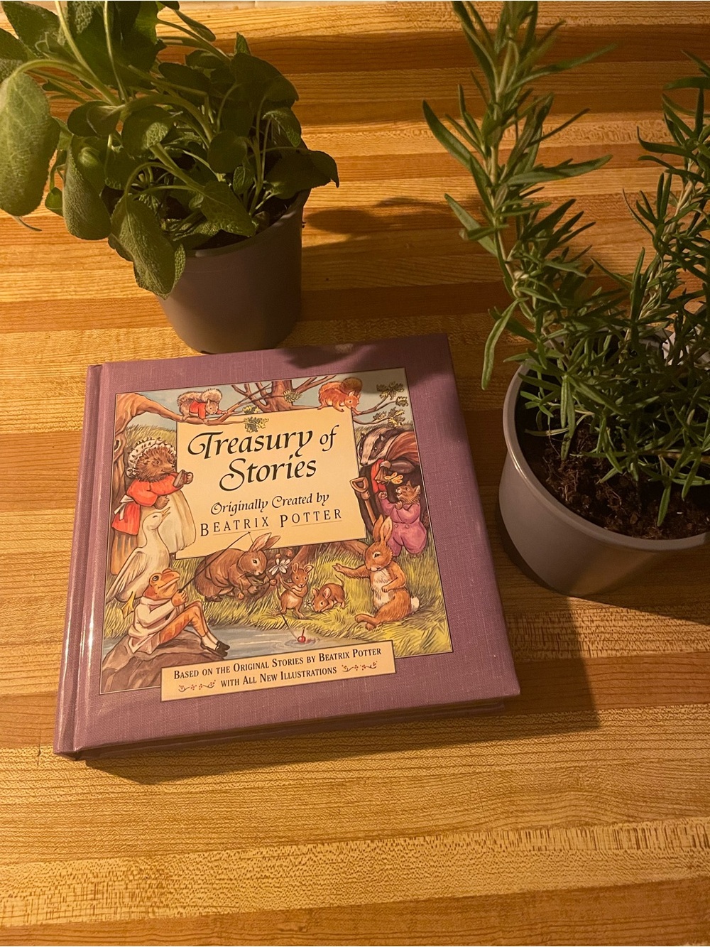 Treasury of Stories 1995 Hardcover Beatrix Potter collection 🐇